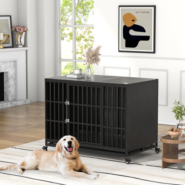 Stunning Secure Dog Crate Latch With Comfortable Design For Puppies With Joint Issues image